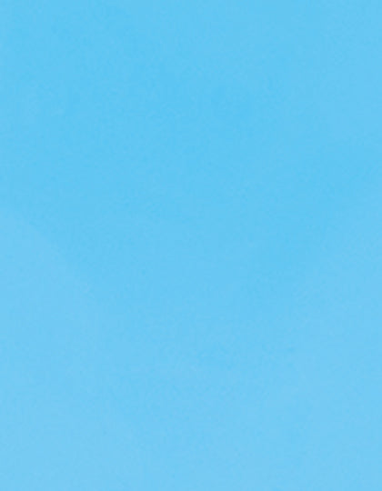 SA100_Light-Blue-320-(ca.-Pantone-298C).jpg