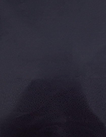 SA100_Dark-Grey-780-(ca.-Pantone-419C).jpg