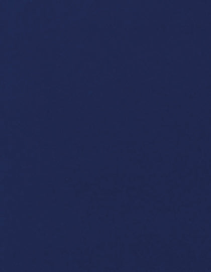 SA350_Royal-Blue-300-(ca.-Pantone-2370C).jpg
