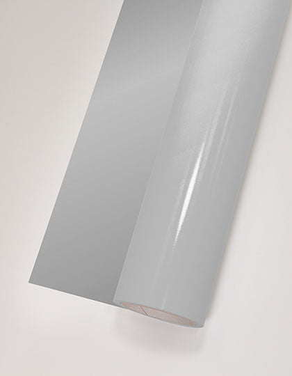 PT150_Silver-Metallic-(ca.-Pantone-877C).jpg