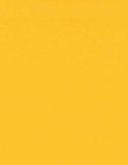 SA350_Yellow-110-(ca.-Pantone-2010C).jpg