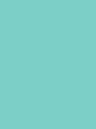 MD400R_1645-Mint.jpg
