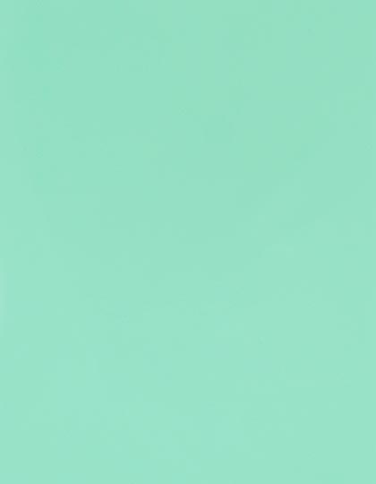 SA150_Pastel-Mint-370-(ca.-Pantone-317C).jpg