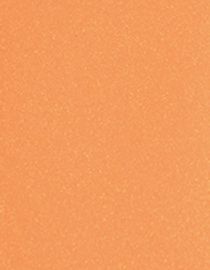 SA200_Glitter-Neon-Orange-939.jpg