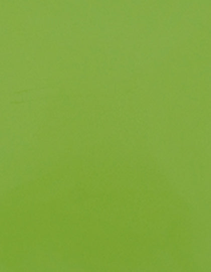 SA100_Apple-Green-421-(ca.-Pantone-368C).jpg