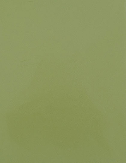 SA100_Pistachio-Green-425-(ca.-Pantone-5777-C).jpg