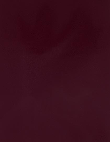 SA150_Burgundy-270-(ca.-Pantone-188C).jpg