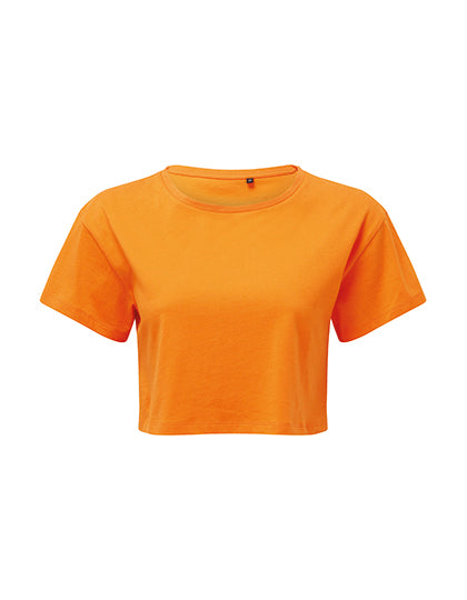 TR019_Orange.jpg