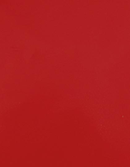 SA100_Signal-Red-210-(ca.-Pantone-185C).jpg
