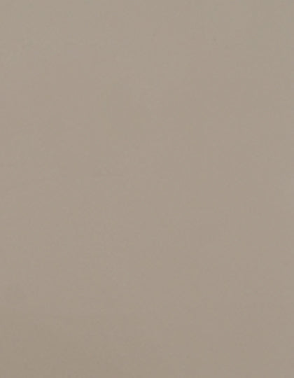 SA100_Beige-004-(ca.-Pantone-4685C).jpg