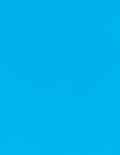 SA100_Aqua-360-(ca.-Pantone-631C).jpg