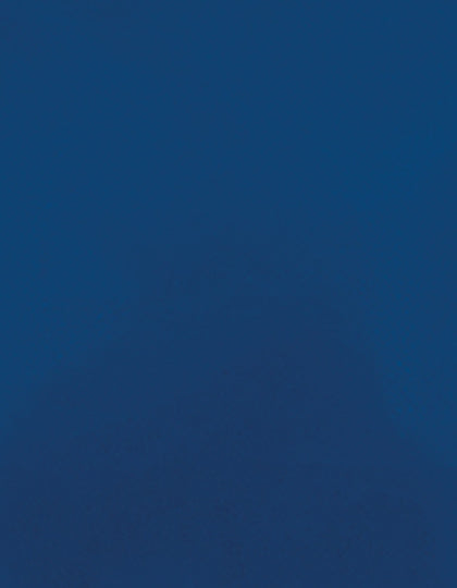 SA100_Columbia-330-(ca.-Pantone-4150C).jpg