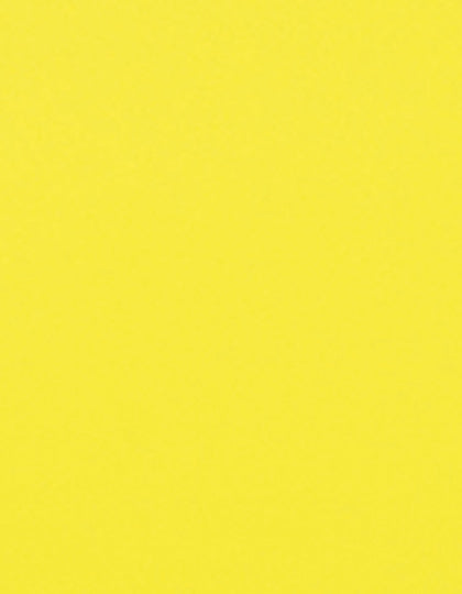 SA350_Neon-Yellow-101.jpg