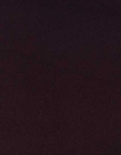 SA350_Dark-Brown-550-(ca.-Pantone-7617C).jpg