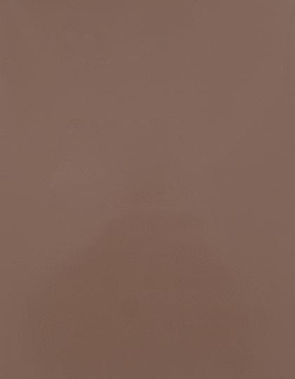 SA300_Cream-005-(ca.-Pantone-479C).jpg