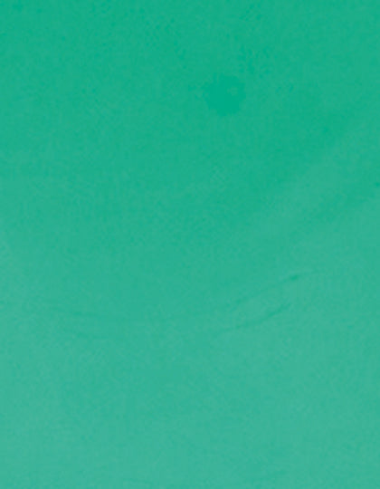 SA100_Mint-419-(ca.-Pantone-339C).jpg