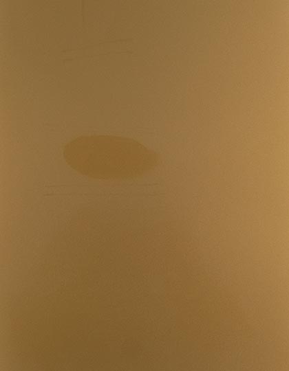 SA300_Gold-115-(ca.-Pantone-871C).jpg