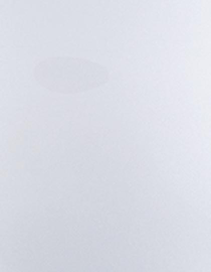 SA100_Silver-815-(ca.-Pantone-877C).jpg