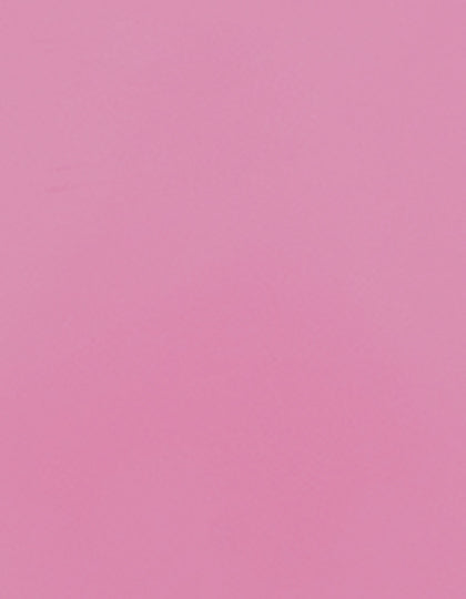 SA100_Pink-252-(ca.-Pantone-507C).jpg