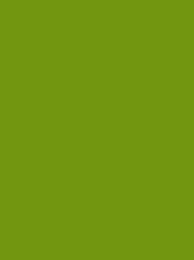 MD400R_1649-Green.jpg
