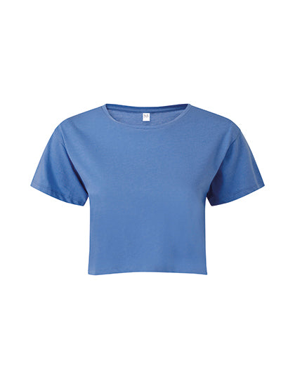 TR019_Cornflower.jpg