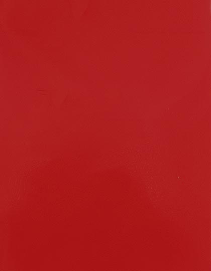 SA150_Signal-Red-210-(ca.-Pantone-185C).jpg