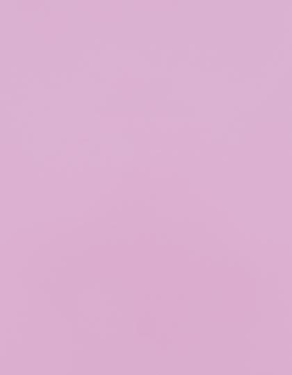 SA150_Pastel-Pink-255-(ca.-Pantone-2036C).jpg