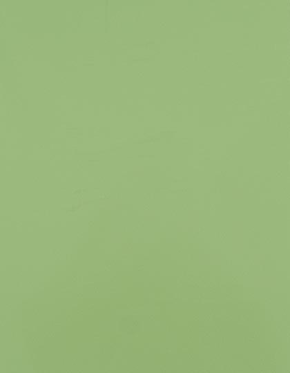 SA150_Pastel-Green-420-(ca.-Pantone-358C).jpg