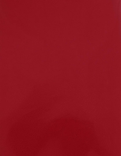 SA909_Red-200-(ca.-Pantone-186C).jpg