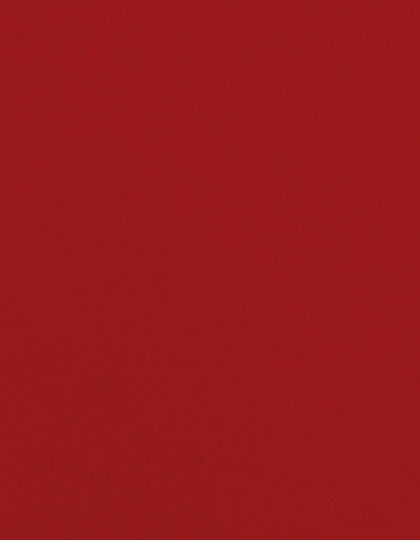 SA350_Red-200-(ca.-Pantone-1935C).jpg