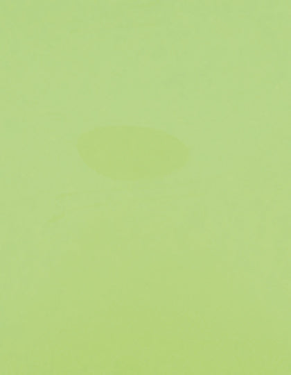 SA100_Pastel-Green-420-(ca.-Pantone-358C).jpg