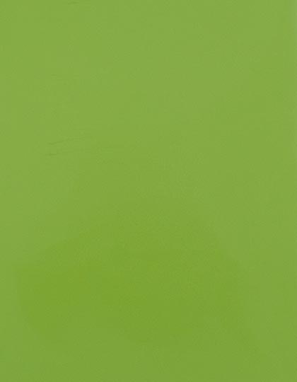 SA150_Apple-Green-421-(ca.-Pantone-368C).jpg
