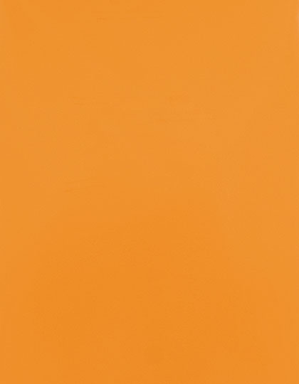 SA100_Light-Orange-185-(ca.-Pantone-1495C).jpg