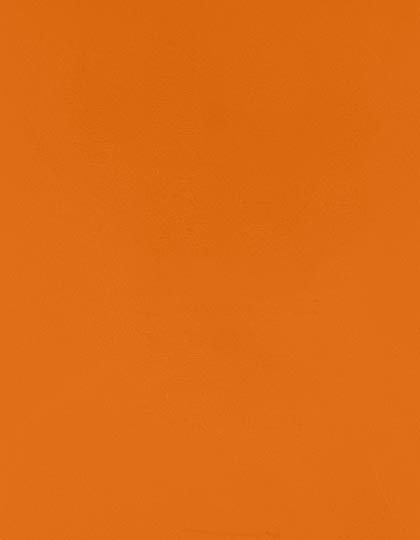SA150_Texas-Orange-182-(ca.-Pantone-4013C).jpg