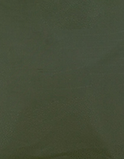 SA100_Olive-430-(ca.-Pantone-7763C).jpg