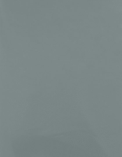 SA100_Iceberg-Green-424-(ca.-Pantone-443C).jpg