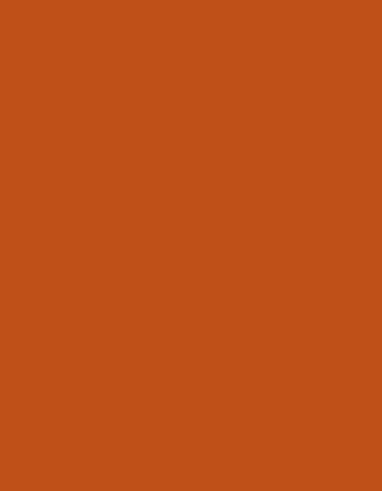 MD600_1621-Burnt-Orange.jpg